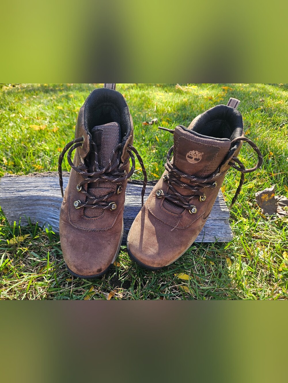 Timberland Boys Brown Suede Lace-Up Hiking Boots Size 5.5